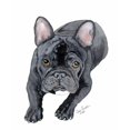 thumbnail image 2 of CafePress - Black French Bulldog Throw Blanket - Soft Fleece Throw Blanket, 50"x60" for All Ages, 2 of 4