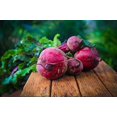 thumbnail image 2 of Graines de Betterave Rouge Foncé Detroit, 2 of 3