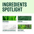 thumbnail image 3 of Suplemento Vibrant Health Green Vibrance 30 porciones, 3 of 9