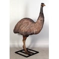 thumbnail image 3 of Emu Life Size Statue, 3 of 8
