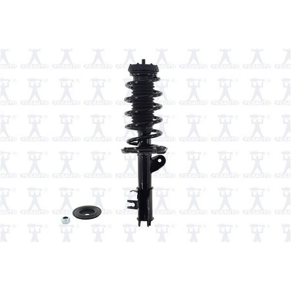 Suspension Strut and Coil Spring Assembly