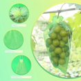 thumbnail image 3 of 50 Piezas Bolsa Protectora De Uvas, 30x20cm, Bolsas De Organza, Bolsa Protectora De Frutas, Red Contra Insectos, Protección Y Control De Plagas Para Jardín (verde) (hy), 3 of 5