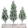 thumbnail image 2 of Northlight Frosted Pine Tree Trio Christmas Decoration - 8" - Unlit, 2 of 7