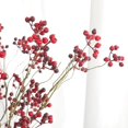 thumbnail image 4 of Bangcool Artificial Berry Stem Long 6PCS Decorative Fake Berry Branch Office Decoration, 4 of 10
