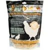 Honest Worm Premium Yellow Mealworms for Chickens, 16 Oz