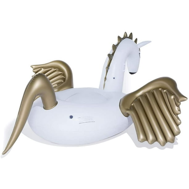 Pegasus raft hotsell