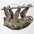 thumbnail image 2 of CafePress - Three Toed Sloth - Adjustable Unisex Printed Trucker Hat with Mesh Back, 2 of 8