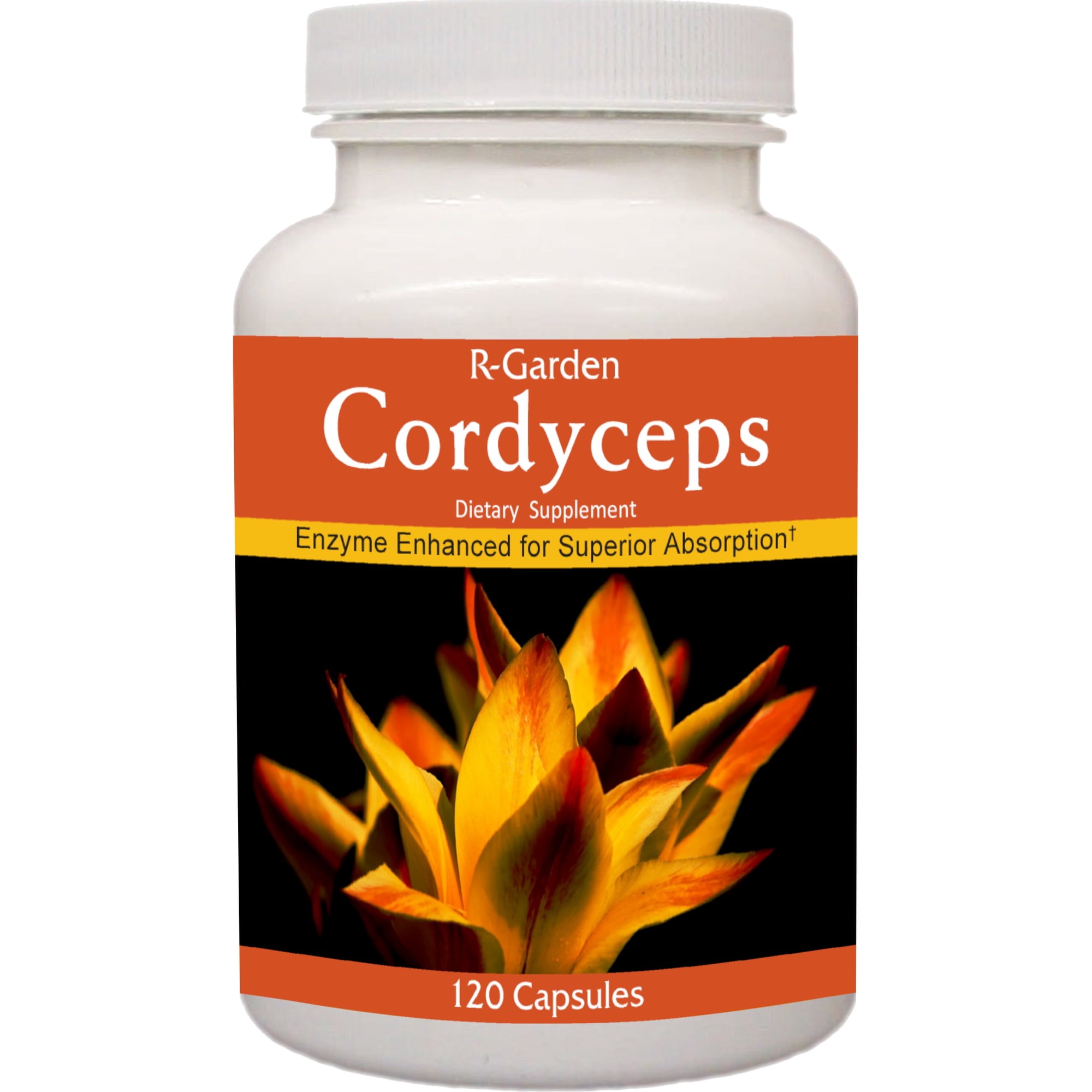 R-Garden Cordyceps, 120 caps.