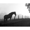 thumbnail image 2 of Anonymous 24x20 White Modern Wood Framed Museum Art Print Titled - Morning Pasture, 2 of 4