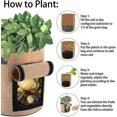 thumbnail image 5 of Paquete de 3 bolsas para plantas, bolsas En P, bolsas para plantas no tejidas, bolsas para patatas, bolsas para plantas con Ow y S, para patatas, zanahorias y tomates, 5 of 5
