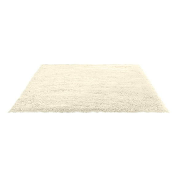 Fluffy Shag Area Rugs Soft Fuzzy Shaggy Rugs for Girls Bedroom Kids Room Carpet Furry Throw Dorm Rug 31 x 19 Inches