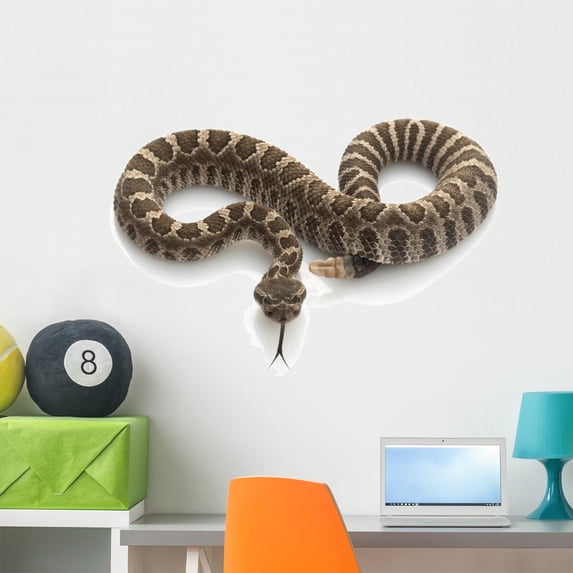 Northern Pacific Rattlesnake Wall Decal by Wallmonkeys Peel and Stick Graphic (36 in W x 24 in H) WM95648