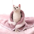 thumbnail image 6 of Eoperou Dogs Blanket Adorable Multipurpose Soft Texture Dogs Cat Sleeping Cushion Blanket for All Seasons, 6 of 8