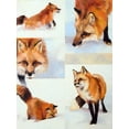 thumbnail image 2 of Chapman, Julie T. 25x32 White Modern Wood Framed Museum Art Print Titled - Vulpes V, 2 of 4