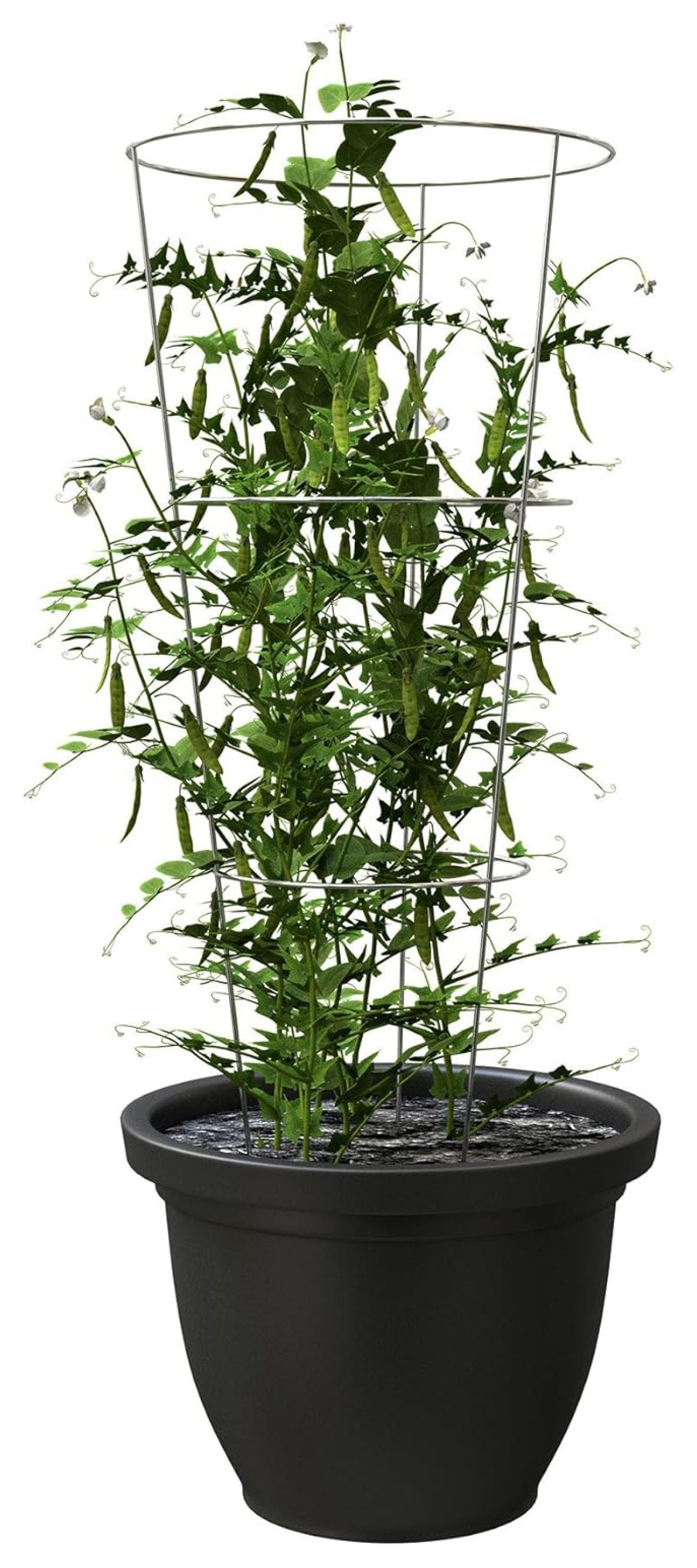 Products 89723 Tomato and Plant Support Cage,Galvanized, Pack of 10 Multicolor