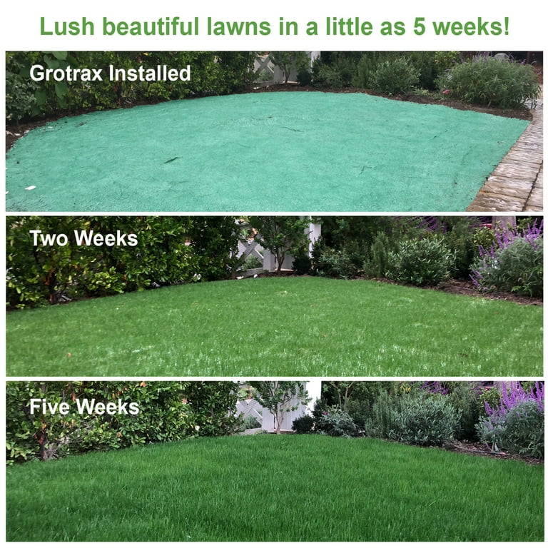Seeded grass mat outlet