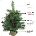 thumbnail image 3 of Northlight 1.5 FT Medium Royal Oregon Pine Burlap Base Artificial Christmas Tree - Unlit, 3 of 3