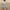 Beige, variant on Sakmal Dresses for Women Beige V-Neck Mid-Length Loose Fit Floral Short Sleeve Shift Dress