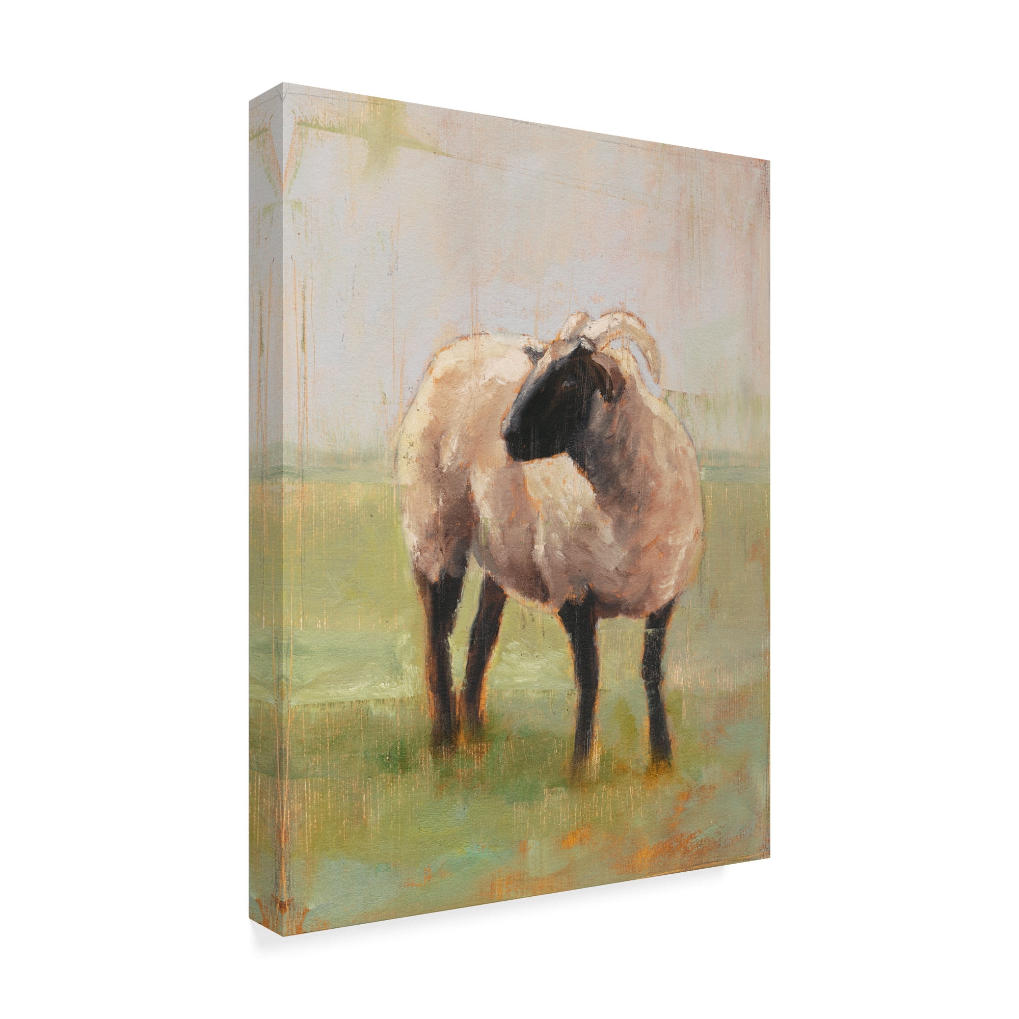 Trademark Fine Art 'Away from the Flock II' Canvas Art by Ethan Harper
