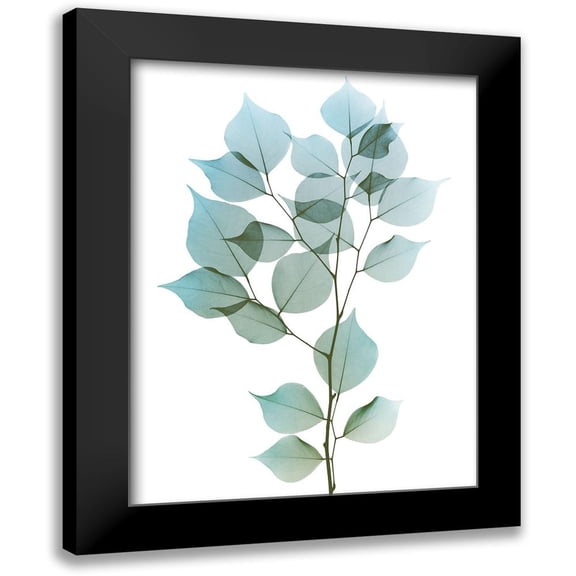 Koetsier, Albert 12x14 Black Modern Framed Museum Art Print Titled - Vibrant Dalbersia 1