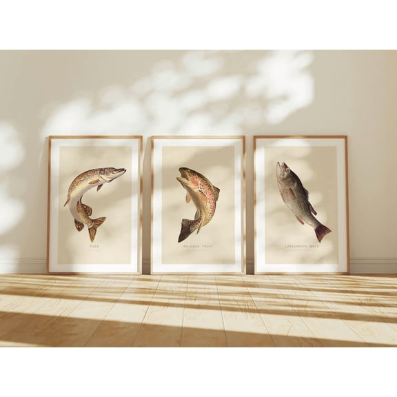 Retro Fish Art Prints Trout Pike And Bass Outdoorsy Cabin Wall Decor Set 3 Unframed Paper Print 8x12