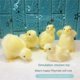 thumbnail image 2 of Muñeco de peluche realista con forma de pollito para niños, juguete de simulación de sonido, de peluche suave, en miniatura, para Pascua, 2 of 5