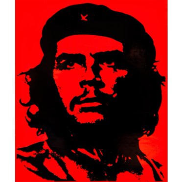 Che Guevara Revolution Poster