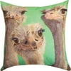 4” Brown and Green Three Amigos Ostrich Square Pillow