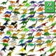 thumbnail image 1 of Paquete 78 Mini juguetes de figuras de dinosaurios OuMuaMua, 1 of 2
