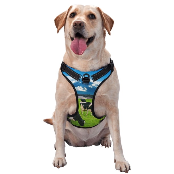 Fotbe Grazing Cows Mountain View Arnés para Perro con Estampado –Chaleco Ajustable Acolchado con Asa de Control para Perros Grandes-Medium