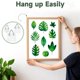 thumbnail image 4 of Paquete de 30 Adhesivos para Colgar Cuadros, Sin Clavos, Pared., 4 of 7