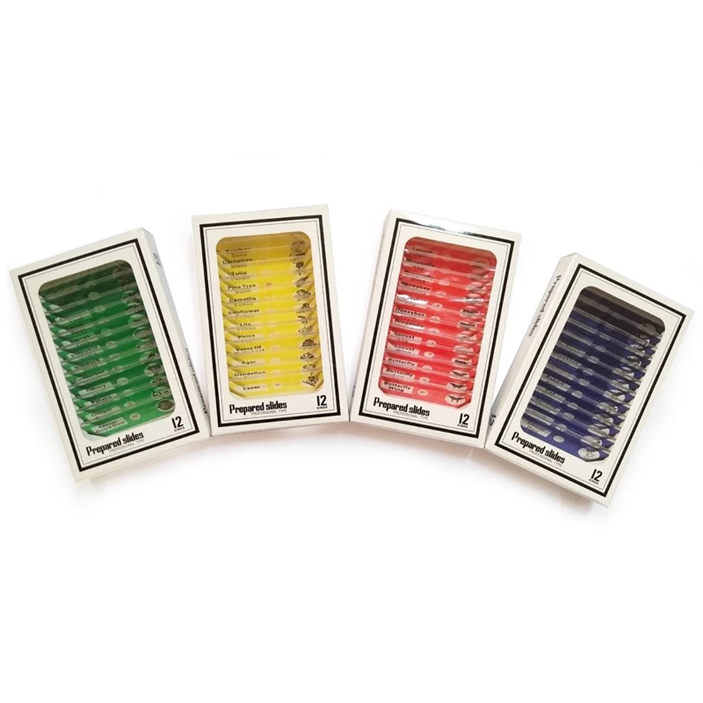 Plastic Microscope Slides Biological Sample With 4 Boxes For Kids