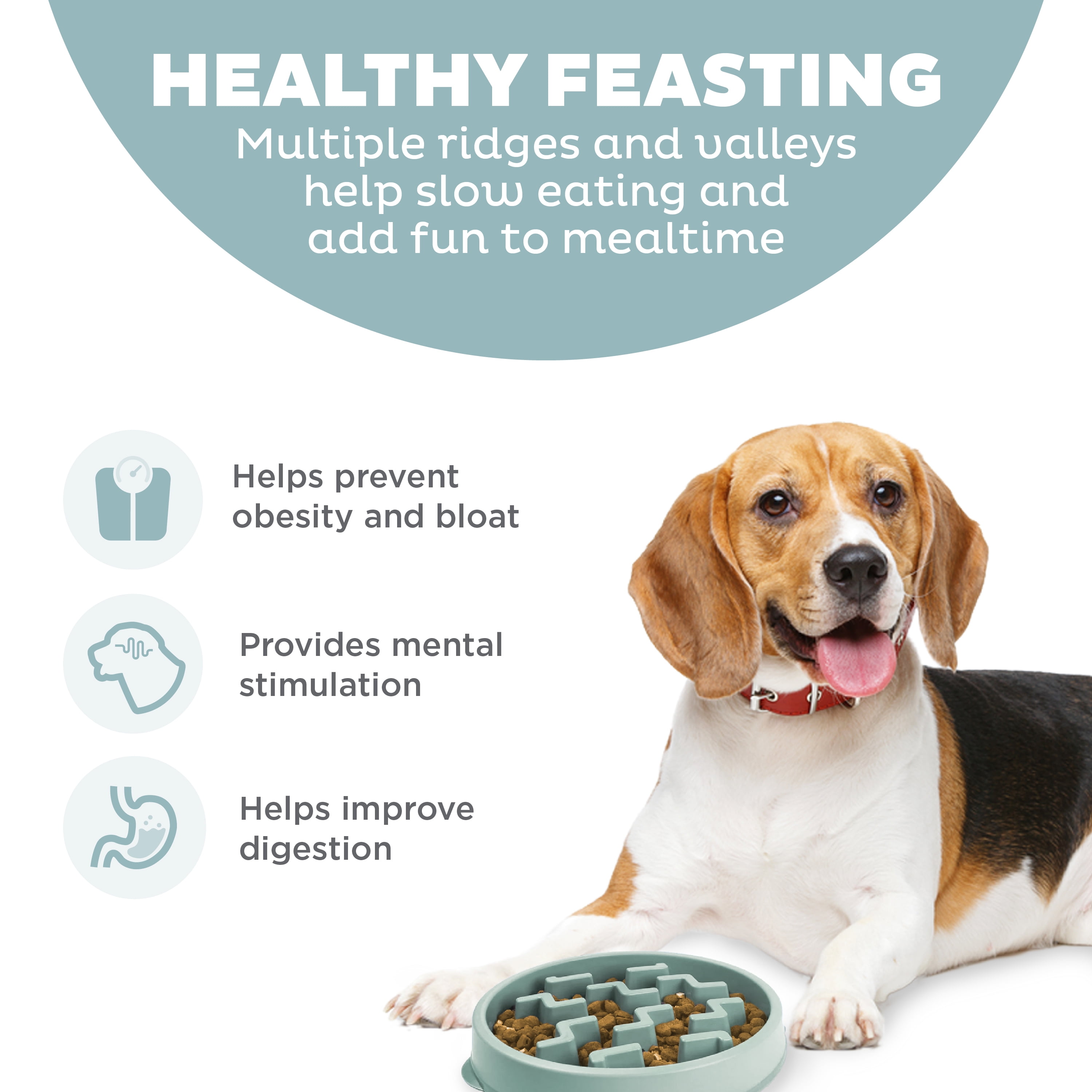Outward Hound Medium Slow Feeder Bowl, Puzzle Maze for Fast Eaters, Small to Medium Dogs, Helps Prevent Bloat & Aid Digestion, Holds 2 Cups Wet or Dry Food, Non-Slip, Made Without BPA, Sage