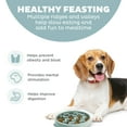 thumbnail image 2 of Outward Hound Medium Slow Feeder Bowl, Puzzle Maze for Fast Eaters, Small to Medium Dogs, Helps Prevent Bloat & Aid Digestion, Holds 2 Cups Wet or Dry Food, Non-Slip, Made Without BPA, Sage, 2 of 6
