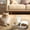 C, variant on Automatic Pet Feeder Programmable Cat Food Dispenser Smart Electronic Device For Convenient Daily Feeding Solution Ideal For Busy Owners