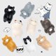 thumbnail image 1 of Piezas Lindo Imán de Nevera Pegatina de Nevera Pegatina de Nevera Piezas de Papel Oso Pegatina de Nevera Decoraciones DIY Accesorios de Resina de Oso Imán Pegatina de Nevera Zhivalor HMHZ1713, 1 of 6