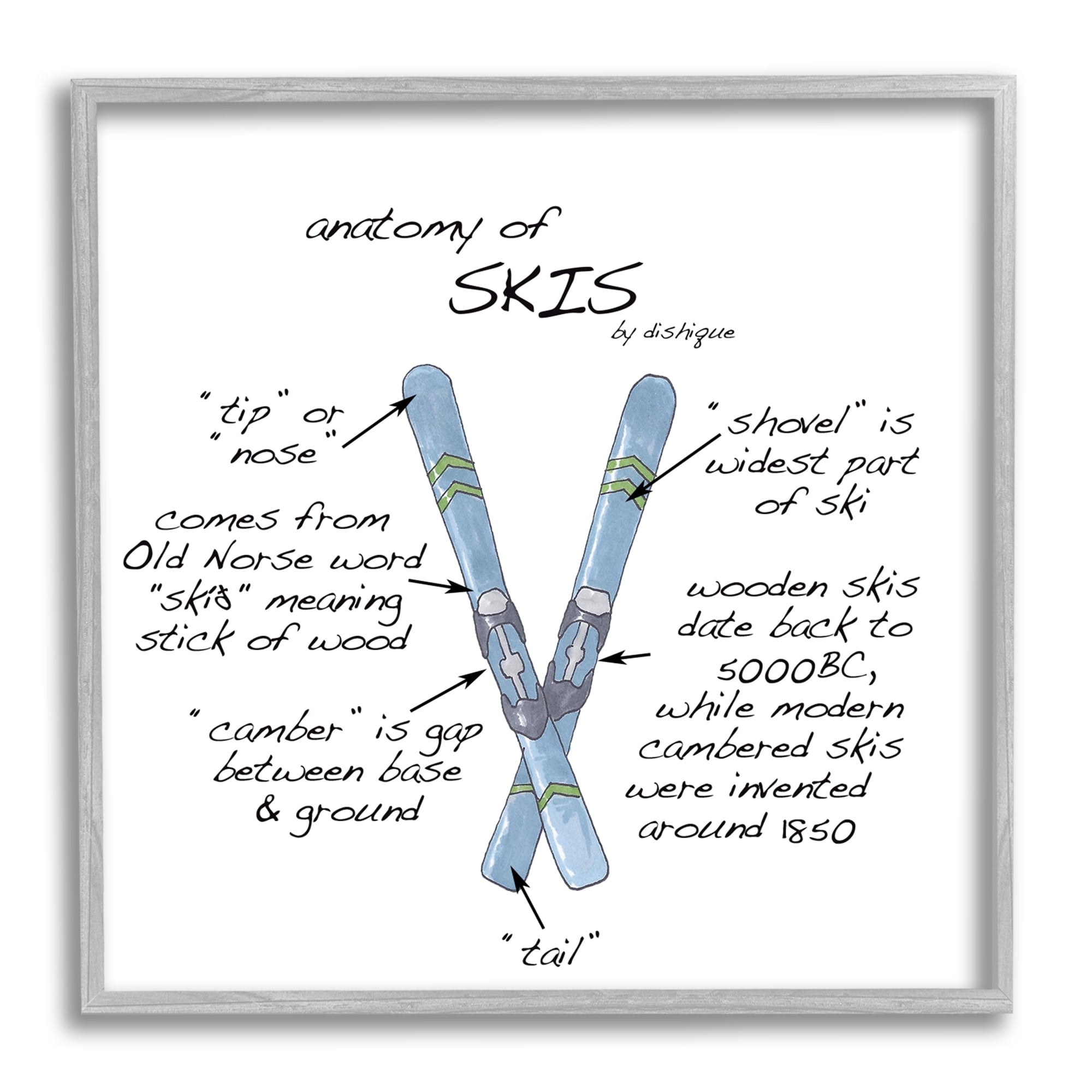 Stupell Industries Anatomy of Skis Winter Sports Diagram Facts Chart Graphic Art Gray Framed Art Print Wall Art, Design by Dishique