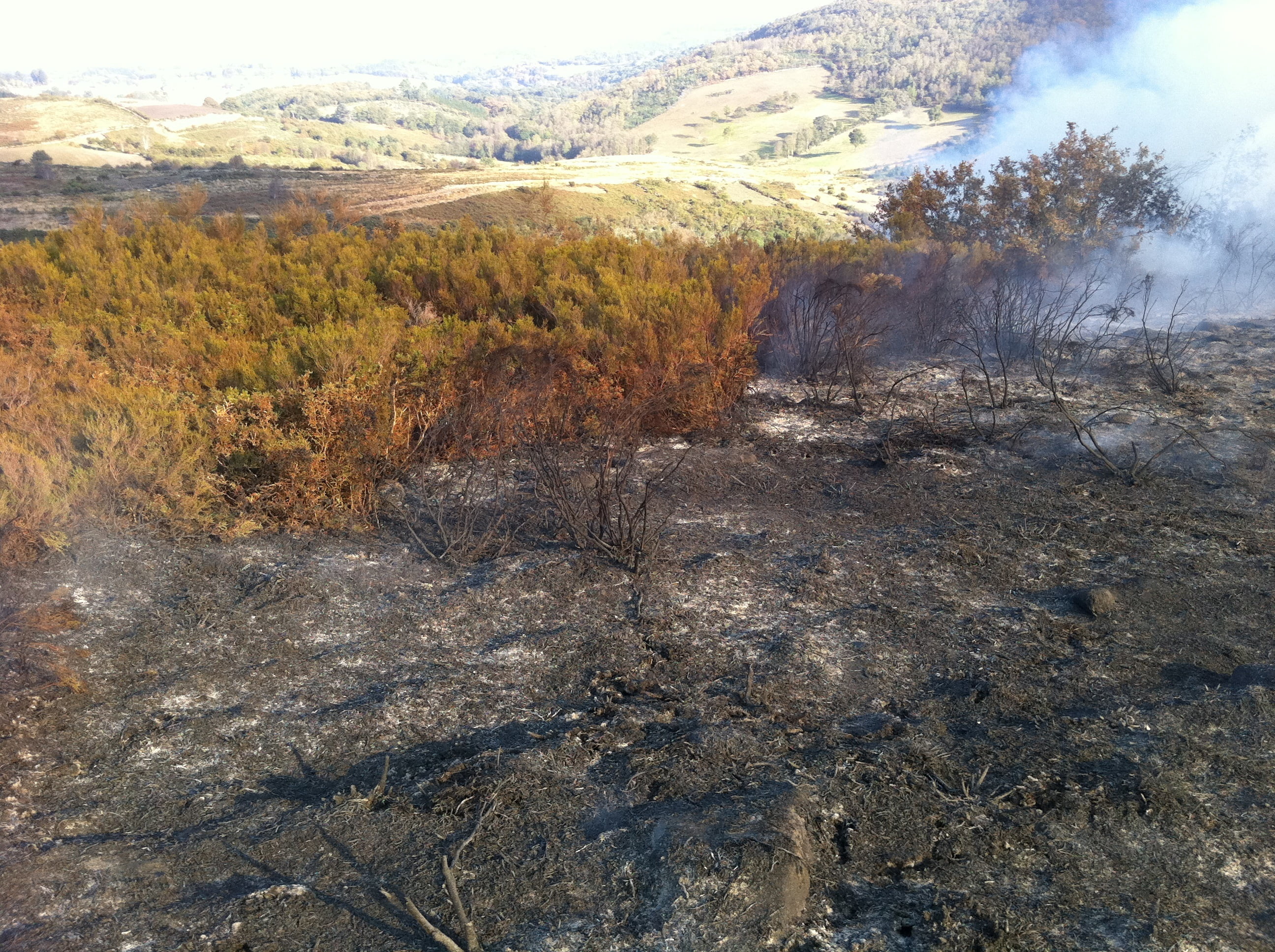 HOME PROTECTION - WILDFIRE SUPPRESSANT FS-01: Non-Toxic and Biodegradable Fire Suppressant
