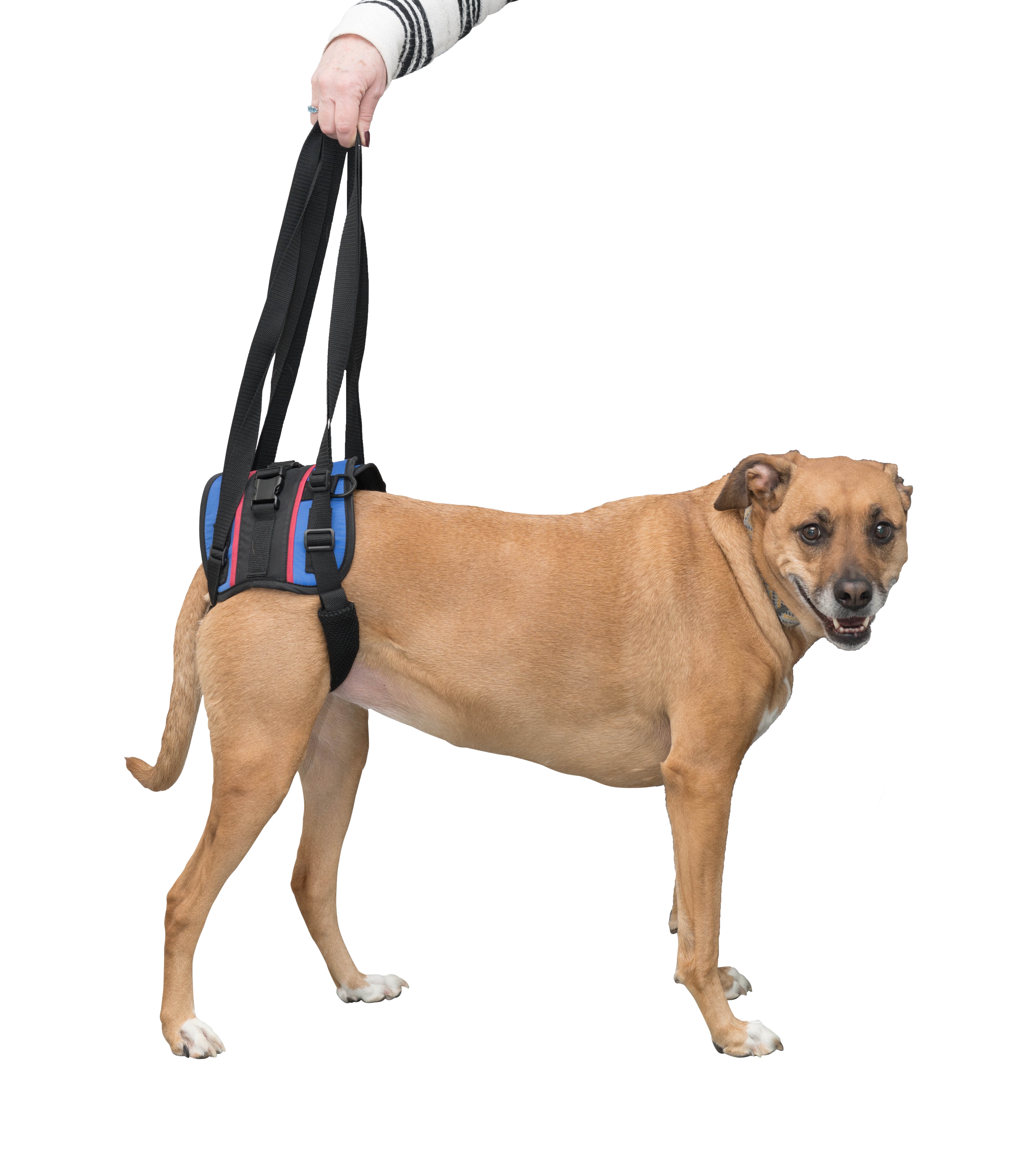 Walkin' Lift Combo Harness Rear