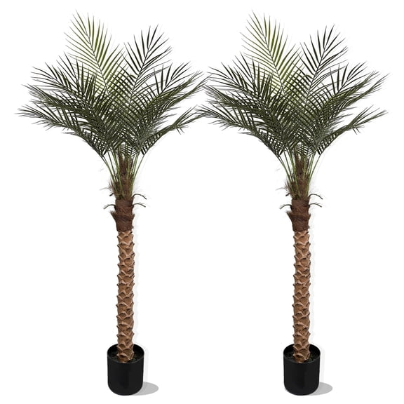 5ft Artificial Palm Tree - Lifelike Faux Palm Tree for Indoor Outdoor Decor, Low Maintenance Fake Plant with Black Planter( Set of 2)