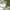 Military Green, variant on Men's Father's day Dad Tax Making Sure It's not Poison Funny Gift for Papa Dad Birthday Christmas