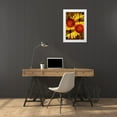 thumbnail image 3 of Bush, Marie 11x14 White Modern Wood Framed Museum Art Print Titled - USA, Colorado, Boulder Gaillardia flower montage, 3 of 4