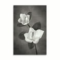 thumbnail image 2 of Gango Home Decor Magnolia Duet II B&W by Vitaly Geyman (Printed on Paper); One 24x36in Fine Art Paper Giclee Print, 2 of 4