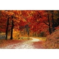 thumbnail image 3 of Road Less Traveled, 3 of 10