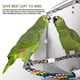 thumbnail image 4 of 7 pulgadas pájaro espejo con cuerda perca loro espejo jaula pájaro juguete columpio loro jaula juguete loro cono lovebird canario, 4 of 4