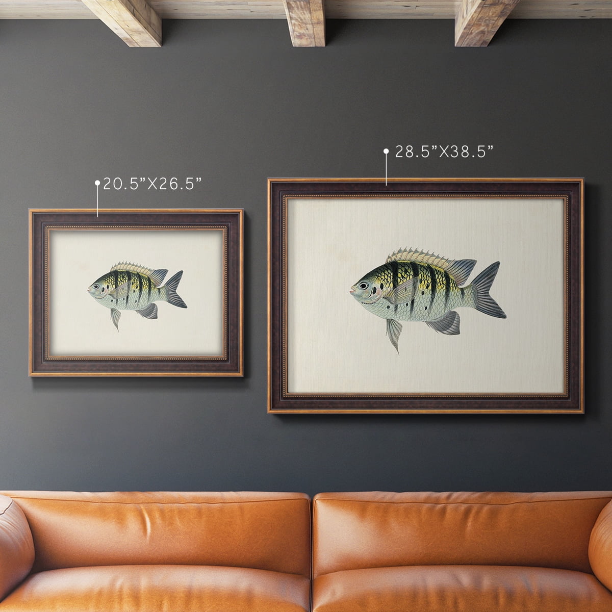Tropical Fish Collection VI Premium Framed Canvas- Ready to Hang