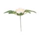 thumbnail image 3 of 25 piezas de flores artificiales de aspecto real, rosas de 3 pulgadas de diámetro y 7 pulgadas de tallo, rosas falsas suaves para decoración de fiestas y bodas, color champán, 3 of 15
