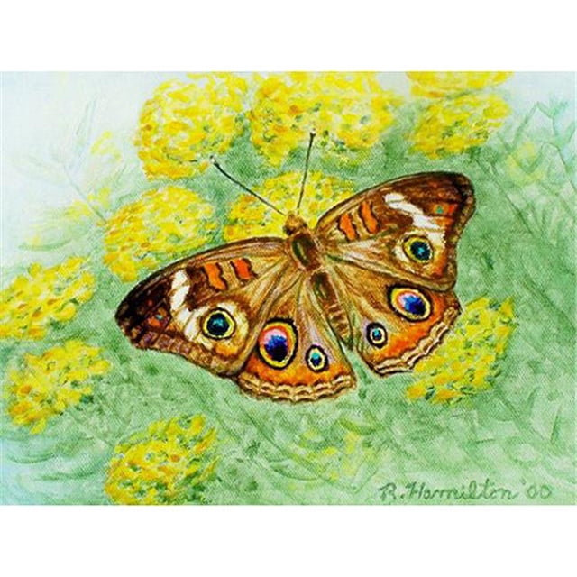 Betsy Drake DM763 Paillasson Papillon Papillon 18 x 26