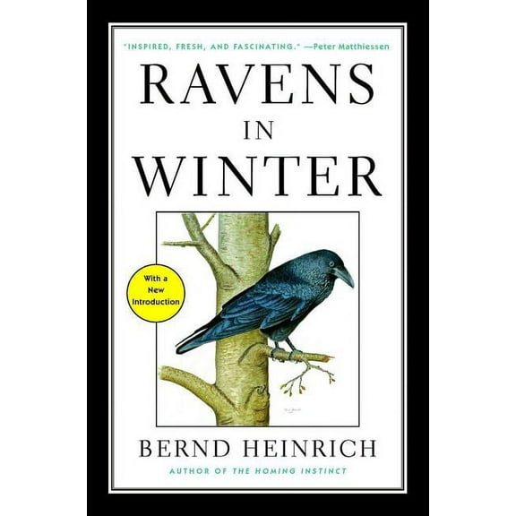 Ravens in Winter, (Paperback)