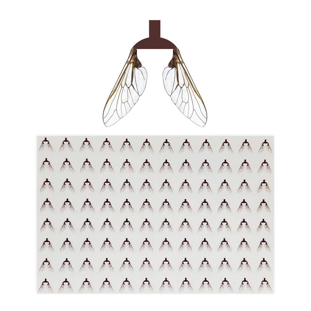 moscas de pesca con mosca,Herramienta Fly Bionic Fly Binding Material,Kit de Moscas de Pesca con Mosca Surtido de Moscas Trucha Bass,Herramienta de pesca de señuelos de pesca con mosca,Kit de